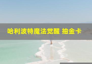 哈利波特魔法觉醒 抽金卡